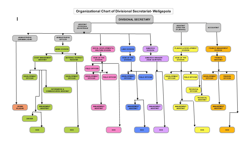 org chart