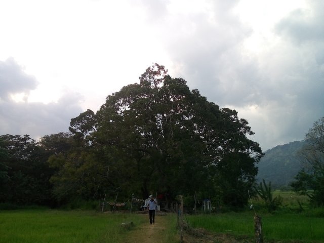 පැරණි චන්දන ග්‍රාමය හෙවත් හදගිරිය