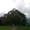 පැරණි චන්දන ග්‍රාමය හෙවත් හදගිරිය